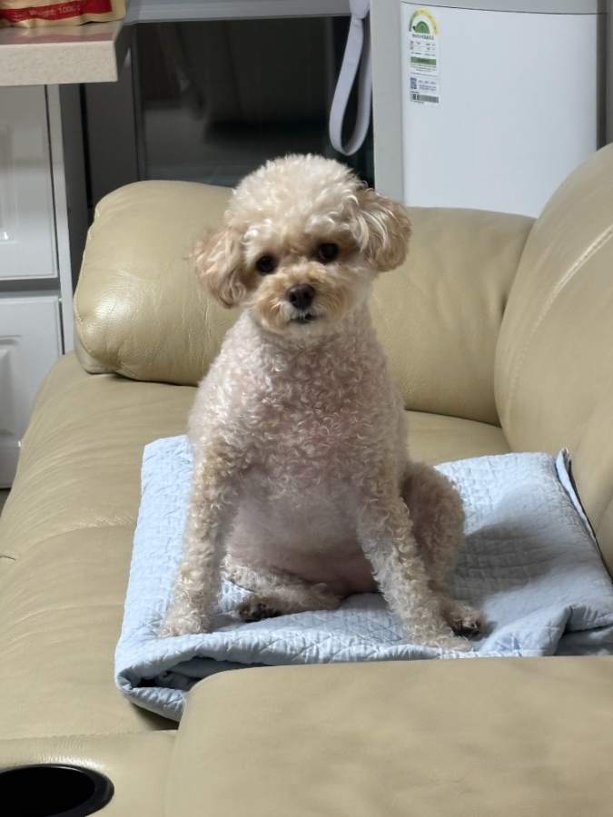 ㄴㅇㄴ